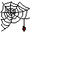 araignee.gif (5277 octets)